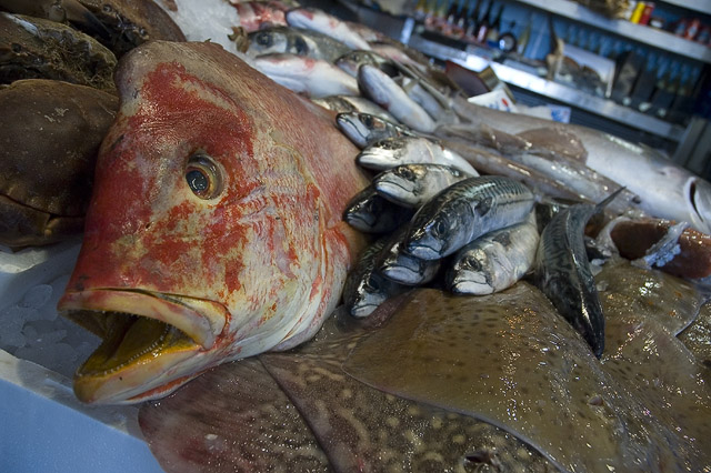 Fishy